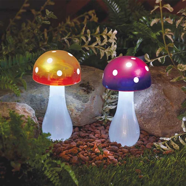 Image de Balise champignon Button S