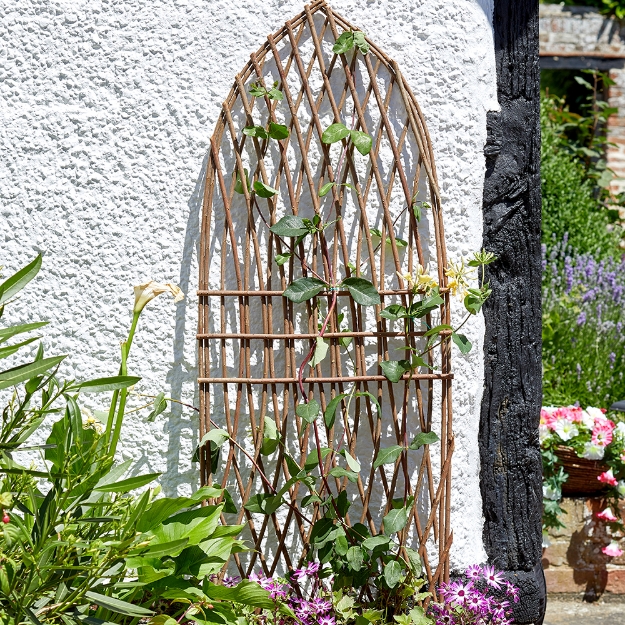 Image de Minster Willow Trellis Gothic 1.8 x 0.6m