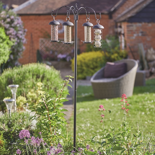 Image de Complete Quartet Feeding Station