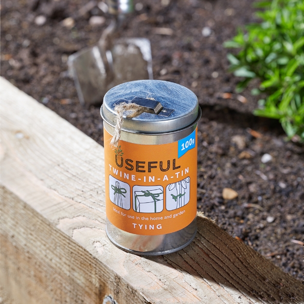 Image de 100g Twine-In-A-Tin