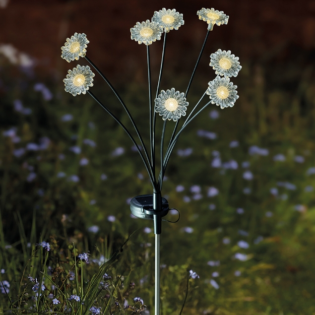 Image de 8-Stem FloraLights - Warm White