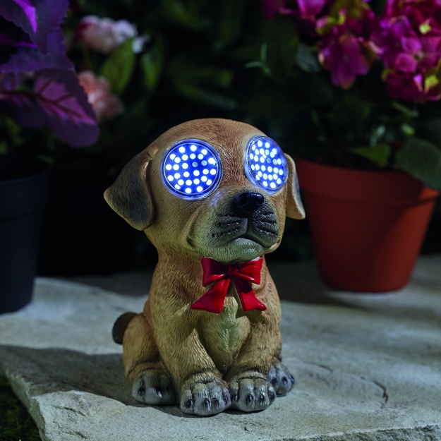 Image de Blinkin' Dog