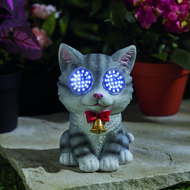 Image de Blinkin' Cat