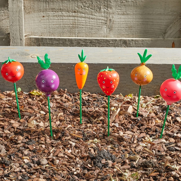 Image de Marqueurs Légumes pour Potager