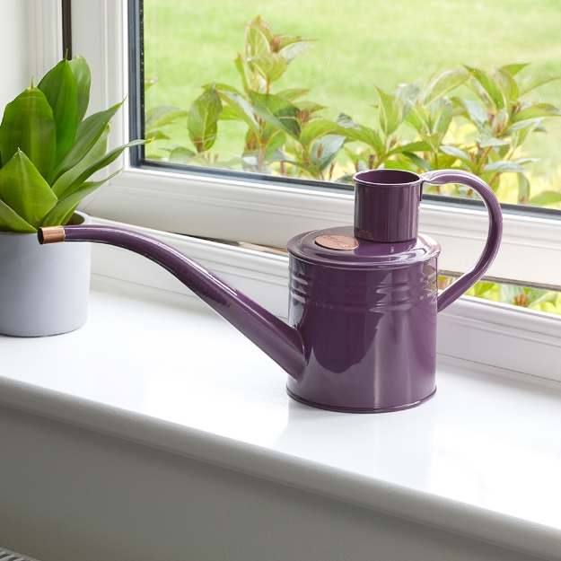 Image de Petit Arrosoir 1L - Violet