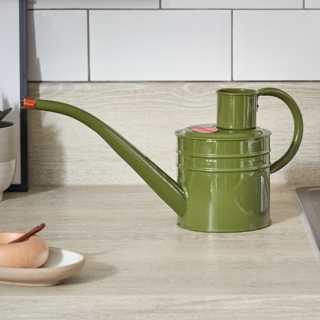Image de Petit Arrosoir 1L - Vert