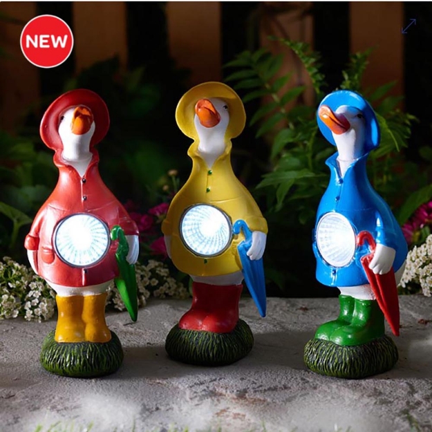 Image de Spot solaire Oie sous la pluie ! - Designs assortis
