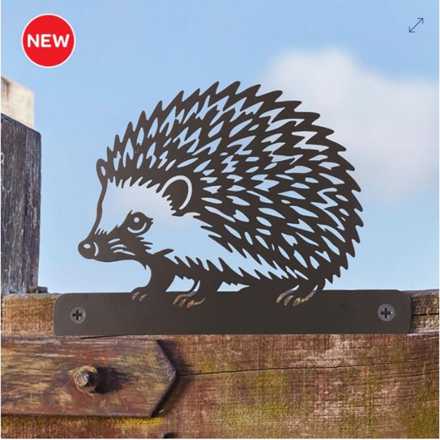 Image de Déco clôture - Hérisson