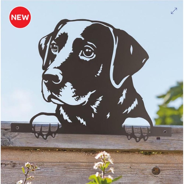 Image de Déco clôture - Labrador