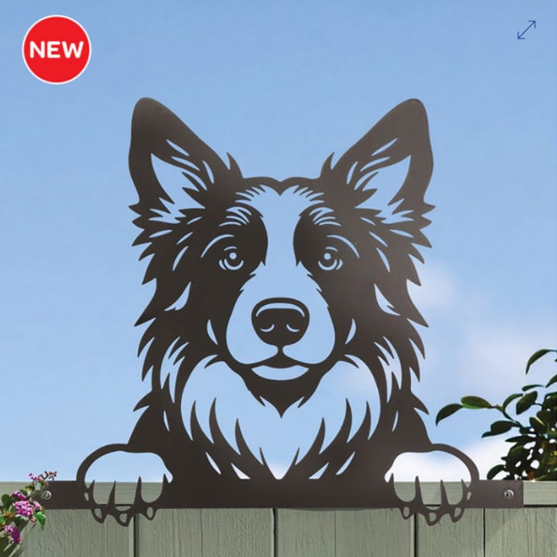 Image de Déco clôture - Border Collie