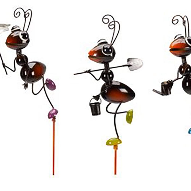 Image de Piques Fourmis - Designs assortis