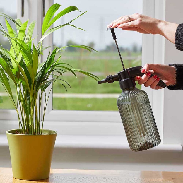 Image de Vaporisateur Pressure Mister - 1.2L