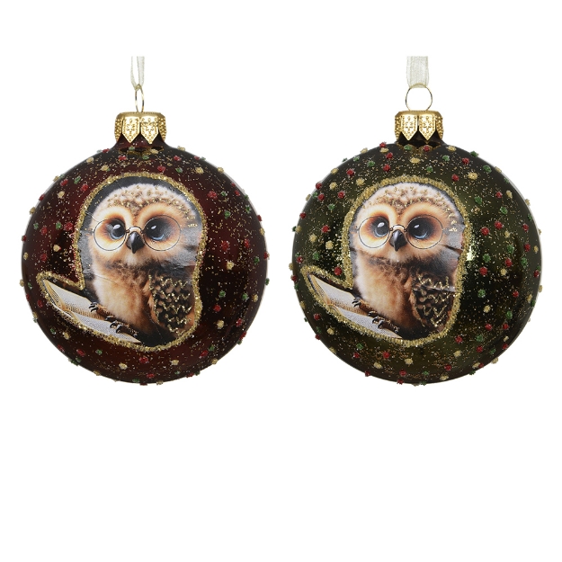Image de Boule verre brillant chouette D8