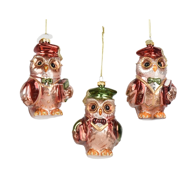 Image de Chouette verre a/lunettes 3 H13