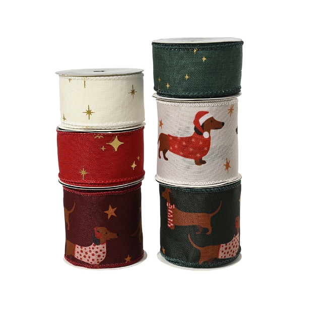 Image de Ruban polyester teckel