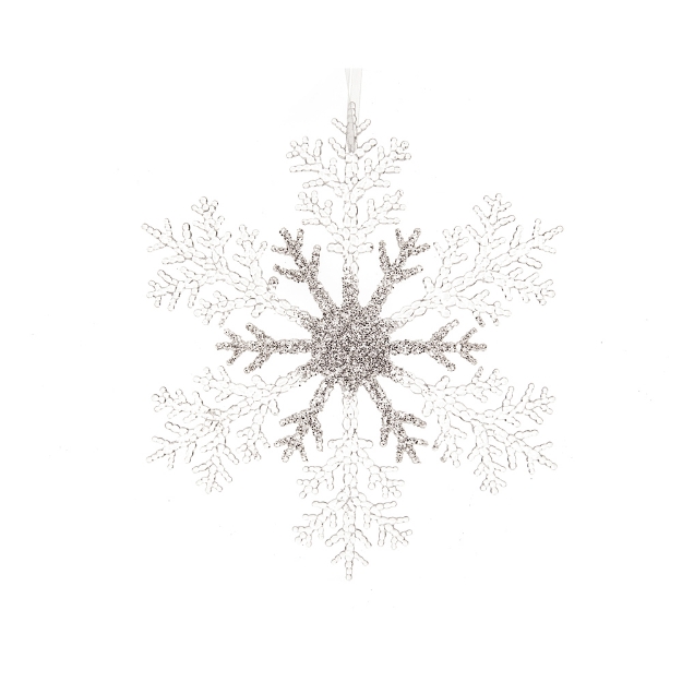Image de Flocon neige plastique paillettes tranp/arg D21