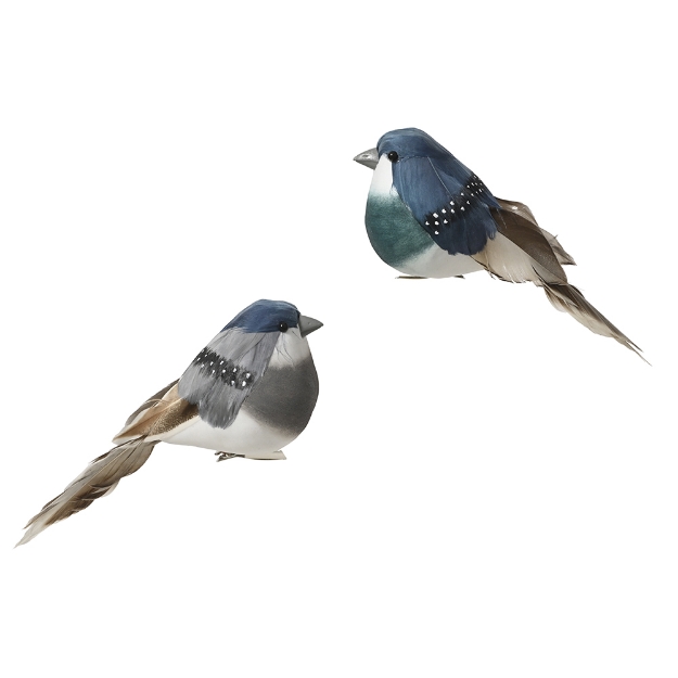 Image de Oiseau mousse 2col bleu