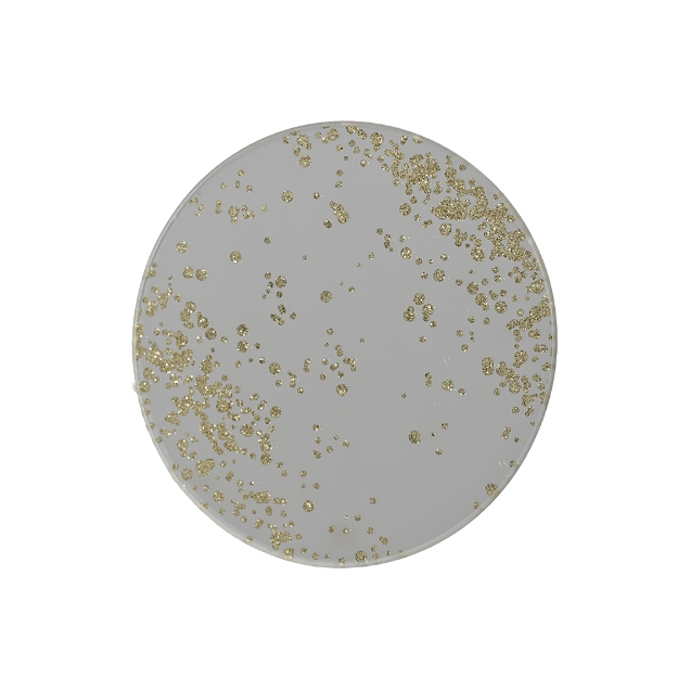 Image de Assiette verre rond D10 argent