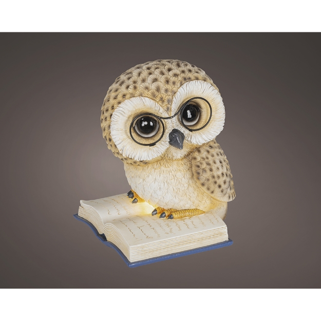 Image de LED chouette poly+livre  fixe int marron/bl chaud H24.5