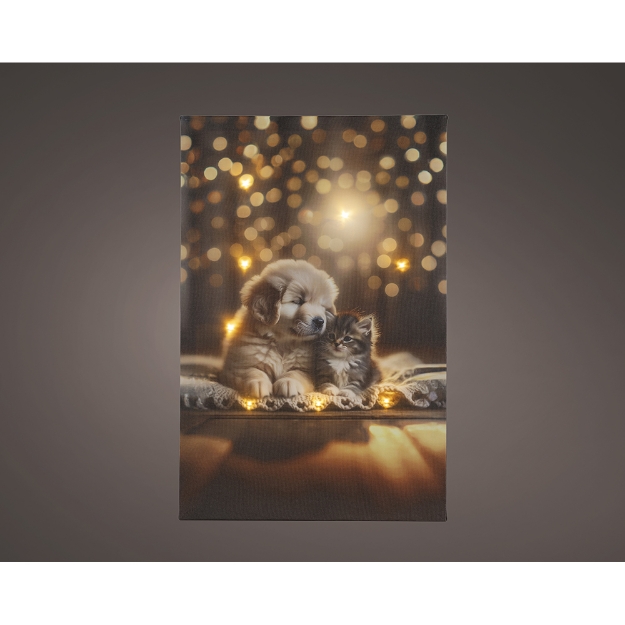 Image de LED canevas pvc fixe int chat/chien