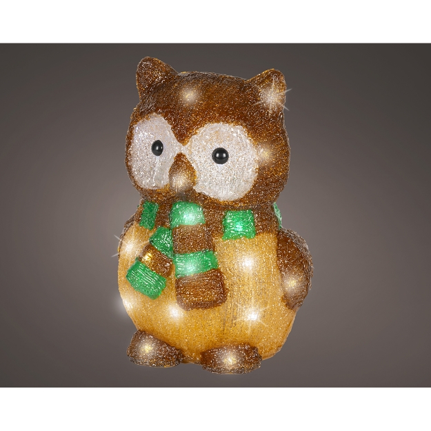 Image de LED chouette acrylique fixe ext marron/blfroid H28,7