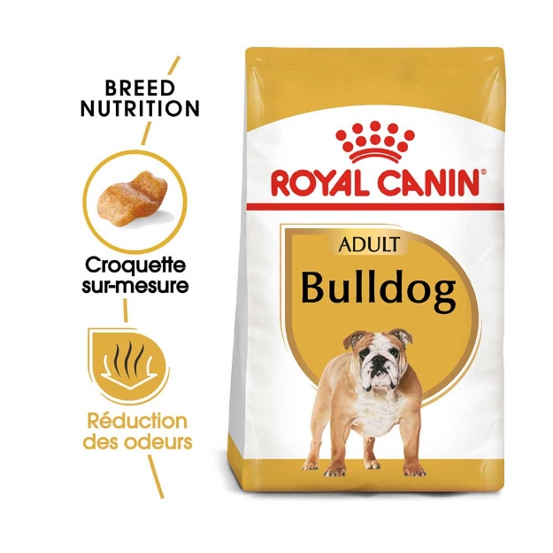 Image de BHN English Bulldog Ad 12kg