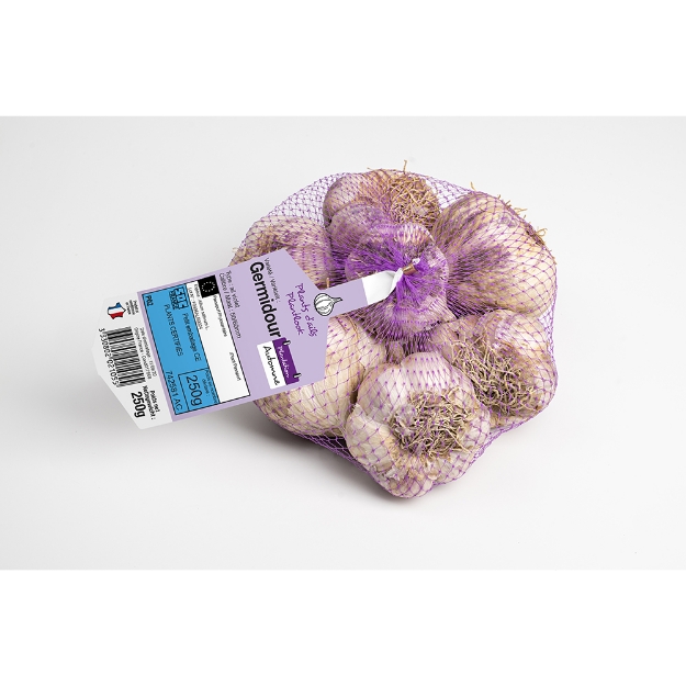 Image de Ail germidour 50/60 en 250 g