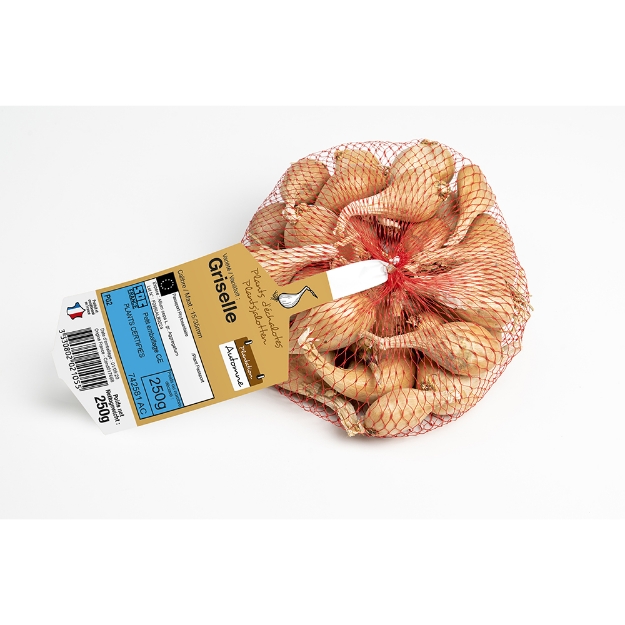 Image de Echalote hiver griselle 15/35 en 250g