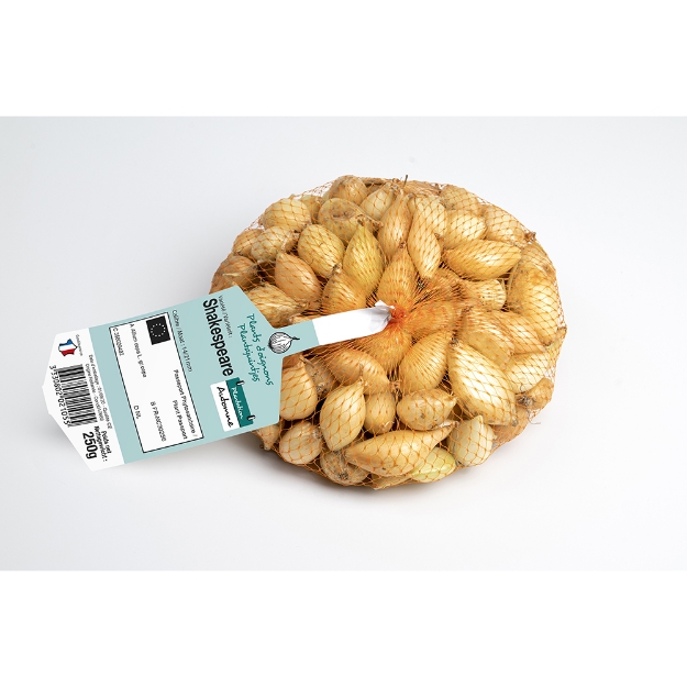 Image de Oignon hiver shakespaere 250 g