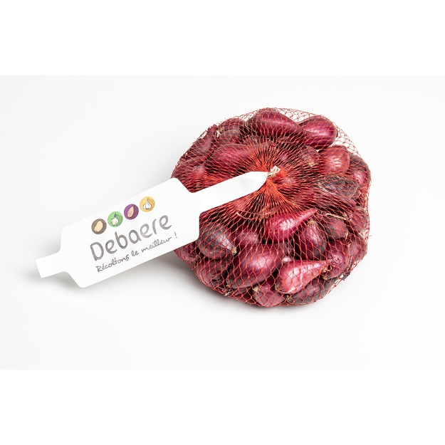 Image de Oignon rouge d'hiver 14/21 250 g