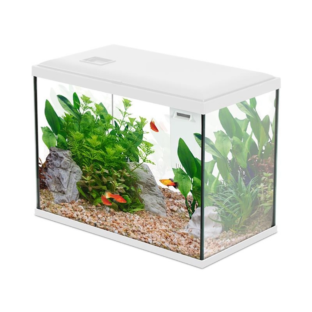 Image de AQUA INITIO 40 BLANC