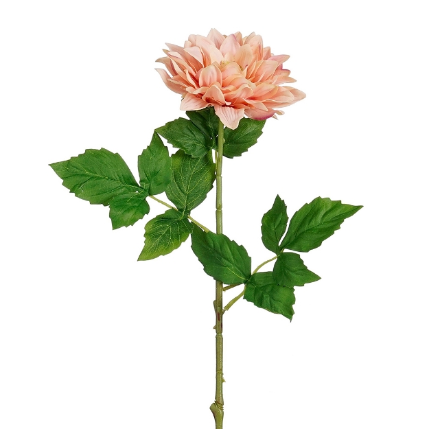 Image de Dahlia orange real touch - Mica