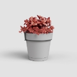 Image de POT CAPRI BALCON RE KIT 20 MA GRIS CLAIR