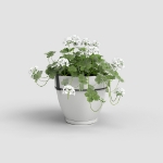 Image de POT CAPRI CAMPANA MUR RE KIT 20 MA BLANC