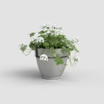 Image de POT CAPRI CAMPANA MUR RE KIT 20 MA GRIS CLAIR