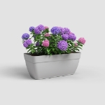 Image de JARDINIÈRE CAPRI CAMPANA XL 80 MA GRIS CLAIR
