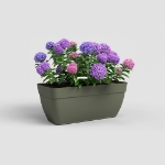 Image de JARDINIÈRE CAPRI CAMPANA XL 80 MA VERT SEC