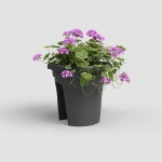 Image de POT VENEZIA BALCON 30 MA ANTHRACITE