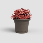 Image de POT VENEZIA MUR RE KIT 20 MA BRONZE