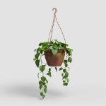 Image de POT ALGARVE SUSPENSION 30 MA TERRE CUITE