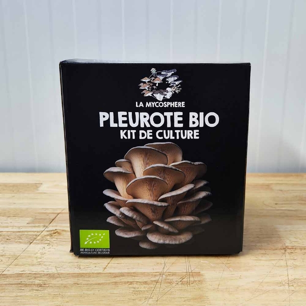 Image de Kit de culture de pleurote JAUNE  BIO 3kg