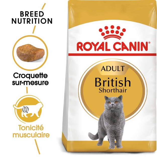 Image de FBN British Shorthair 4kg