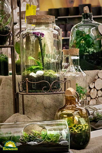 Comment faire un terrarium - exemple 2