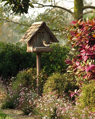 Un oiseau posé sur une mangeoire. Aidez les oiseaux des jardins à subvenir à leurs besoins.