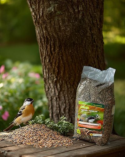 un sac de graine près d'un oiseau des jardin : il est important de bien choisir la nourriture pour subvenir à leur besoins essentiels.