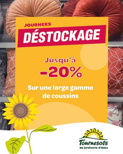 Coussins colorés en promotion avec 20 % de remise chez Jardineries Tournesols.