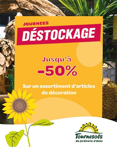 Affiche promotionnelle de jardinerie avec réduction de 50 % sur les décorations.