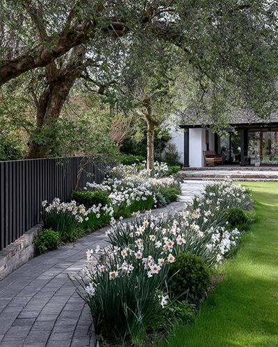 Chemin bordé de fleurs blanches et maison avec jardin verdoyant.