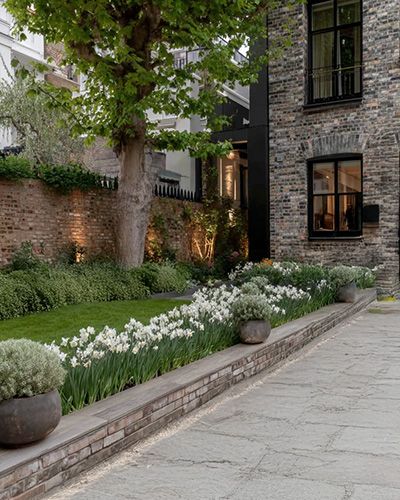 Jardin avec bulbes en fleurs devant une maison en briques.