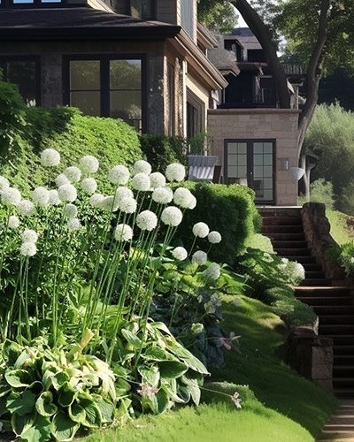 Des fleurs blanches dans un jardin printanier avec une maison en arrière-plan.